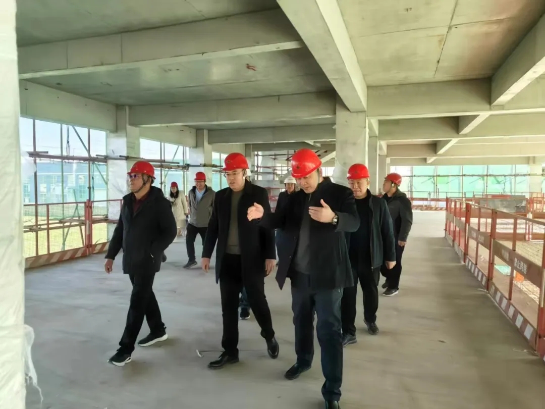 6.webp.jpg 6.webp.jpg